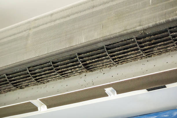 Best Air Duct Cleaning Company Near Me  in Millbrook, AL